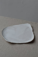 Load image into Gallery viewer, large organic plate I