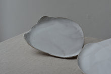 Load image into Gallery viewer, large organic plate I