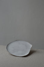 Load image into Gallery viewer, large organic plate II